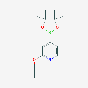 2-t-Butoxypyridine-4-boronic acid pinacol ester图片