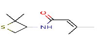 N-(2,2-dimethylthietan-3-yl)-3-methylbut-2-enamide图片