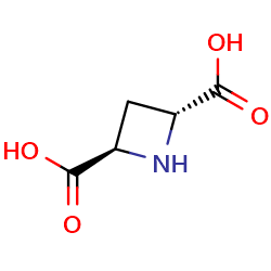 trans-(2R,4R)-azetidine-2,4-dicarboxylicacid图片