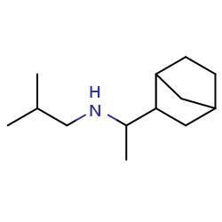 (1-{bicyclo[2,2,1]heptan-2-yl}ethyl)(2-methylpropyl)amine图片