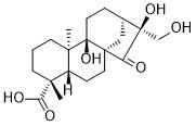 Pterisolic acid F图片