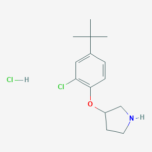3-[4-(tert-Butyl)-2-chlorophenoxy]pyrrolidinehydrochloride图片