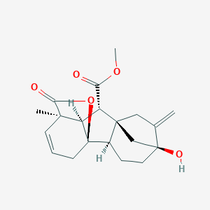 Gibberellin A5 Methyl Ester图片