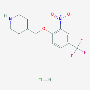 4-{[2-Nitro-4-(trifluoromethyl)phenoxy]-methyl}piperidine hydrochloride图片