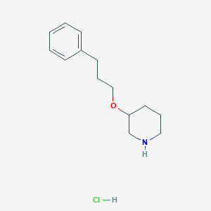 3-(3-Phenylpropoxy)piperidine hydrochloride图片