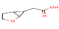 2-{2-oxabicyclo[3,1,0]hexan-6-yl}aceticacid图片