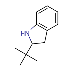 2-tert-butyl-2,3-dihydro-1H-indole图片
