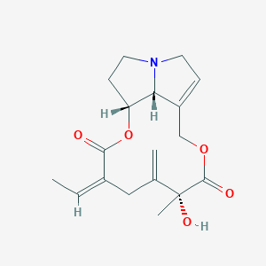 Seneciphylline图片