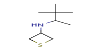 N-(3,3-dimethylbutan-2-yl)thietan-3-amine图片