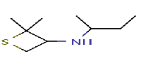 N-(butan-2-yl)-2,2-dimethylthietan-3-amine图片