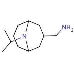 1-[9-(propan-2-yl)-9-azabicyclo[3,3,1]nonan-3-yl]methanamine图片