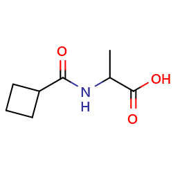 2-(cyclobutylformamido)propanoicacid图片