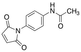 N-[4-(2,5-dioxo-2,5-dihydro-1H-pyrrol-1-yl)phenyl]acetamide图片
