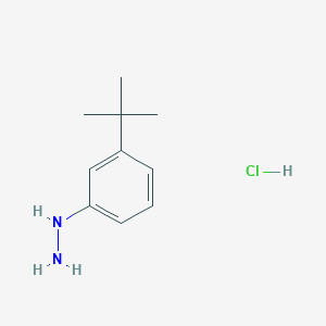 1-[3-(tert-butyl)phenyl]hydrazine hydrochloride图片