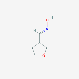 N-(oxolan-3-ylmethylidene)hydroxylamine图片