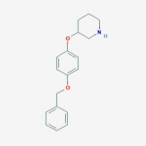 3-[4-(Benzyloxy)phenoxy]piperidine图片