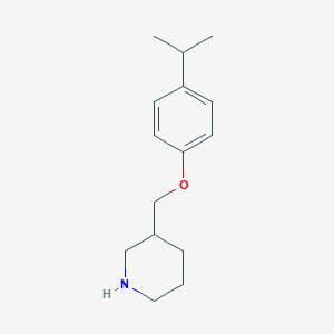 3-[(4-Isopropylphenoxy)methyl]piperidine图片