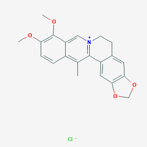 13-Methylberberine chloride图片