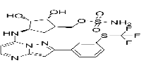 TAK-243图片