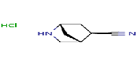 (1S,4R,5R)-2-azabicyclo[2,2,1]heptane-5-carbonitrilehydrochloride图片