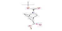 O2-tert-butylO5-methyl2-azabicyclo[2,2,2]octane-2,5-dicarboxylate图片