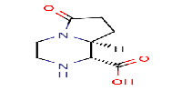 (1R,8aS)-rel-6-oxo-octahydropyrrolo[1,2-a]piperazine-1-carboxylicacid图片