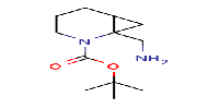 tert-butyl1-(aminomethyl)-2-azabicyclo[4,1,0]heptane-2-carboxylate图片