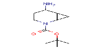 tert-butyl5-amino-2-azabicyclo[4,1,0]heptane-2-carboxylate图片