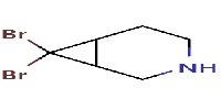 7,7-dibromo-3-azabicyclo[4,1,0]heptane图片