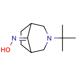 N-{3-tert-butyl-3-azabicyclo[3,2,1]octan-8-ylidene}hydroxylamine图片