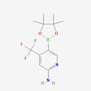 5-(tetramethyl-1,3,2-dioxaborolan-2-yl)-4-(trifluoromethyl)pyridin-2-amine图片