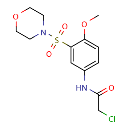 2-chloro-N-[4-methoxy-3-(morpholine-4-sulfonyl)phenyl]acetamide图片