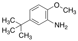 5-叔-丁基-2-甲氧基苯胺图片
