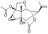 13-O-Acetylcorianin图片