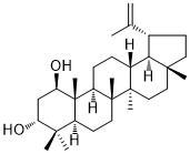 算盘子二醇图片