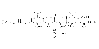 Omadacycline mesylate图片