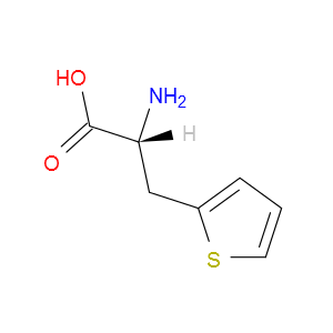 3-(2-噻吩基)-D-丙氨酸图片