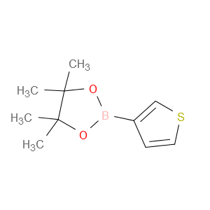 噻吩-3-硼酸频哪醇酯图片