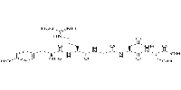 YRGDS Fibronectin Fragment图片
