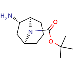 tert-butyl(1S,5R,6S)-rel-6-amino-8-azabicyclo[3,2,1]octane-8-carboxylate图片