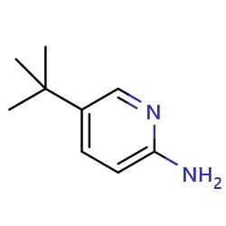 5-tert-butylpyridin-2-amine图片