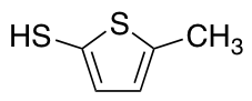5-methylthiophene-2-thiol图片