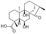 Pterisolic acid D图片