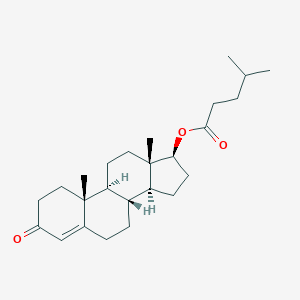 Testosterone isocaproate图片