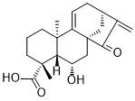 Pterisolic acid B图片