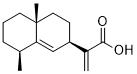 Pterodontic acid图片