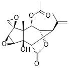 2-O-Acetyltutin图片