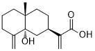 5α-Hydroxycostic acid图片