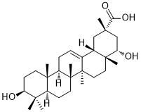 Triptotriterpenic acid A图片
