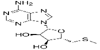 5'-S-Methyl-5'-thioadenosine图片